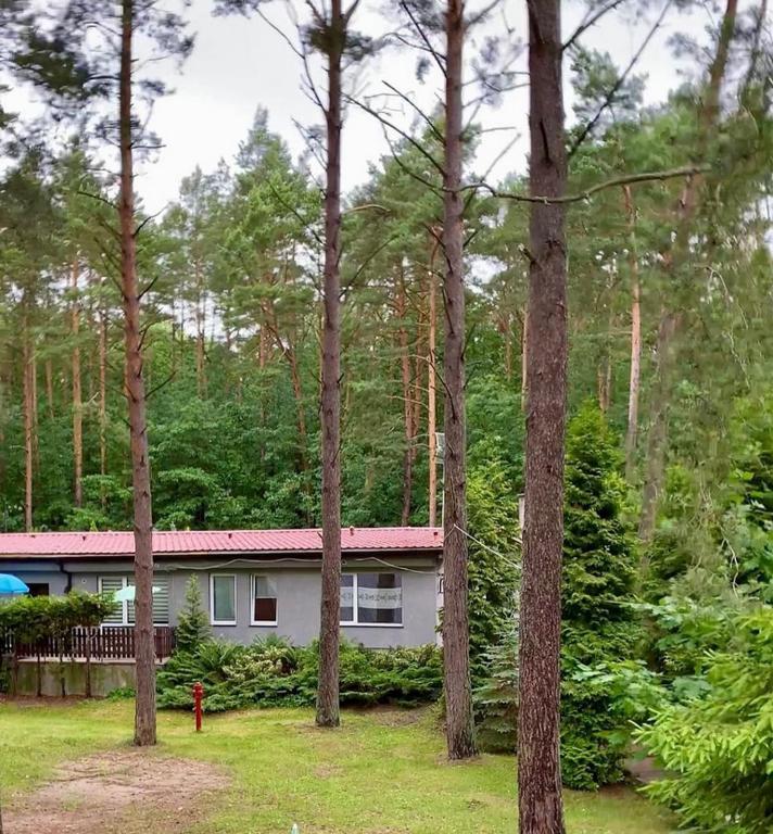 Vila Osrodek Wypoczynkowy Zakatek Kąty Rybackie Exteriér fotografie